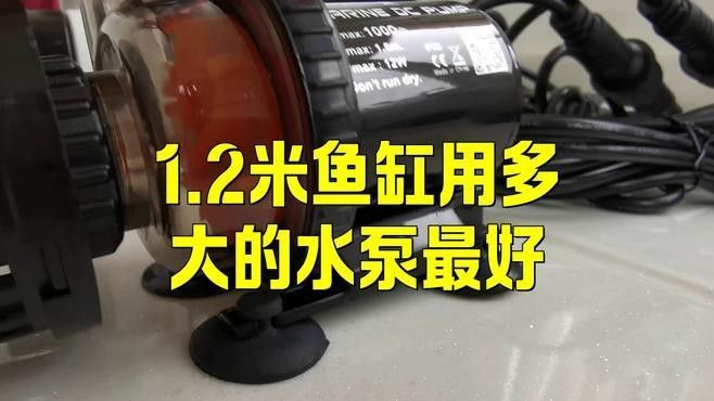 如何計算水泵的流量？（水泵流量的計算方法） 如何計算水泵的流量？（水泵流量的計算方法） 龍魚百科 第4張
