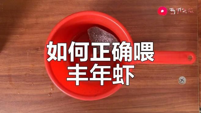 豐年蝦一次喂多少合適？（豐年蝦喂養技巧大揭秘,用量多少全看這里）