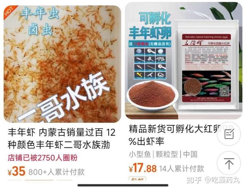 豐年蝦一次喂多少合適？（豐年蝦喂養技巧大揭秘,用量多少全看這里）