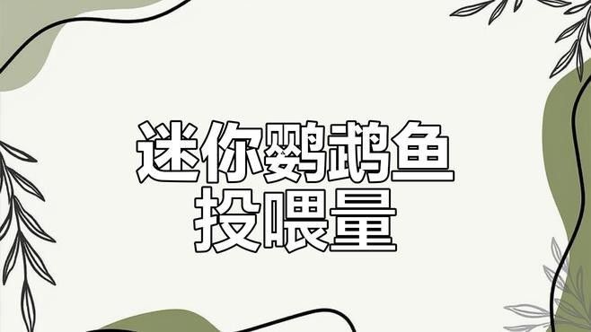 豐年蝦一次喂多少合適？（豐年蝦喂養技巧大揭秘,用量多少全看這里）
