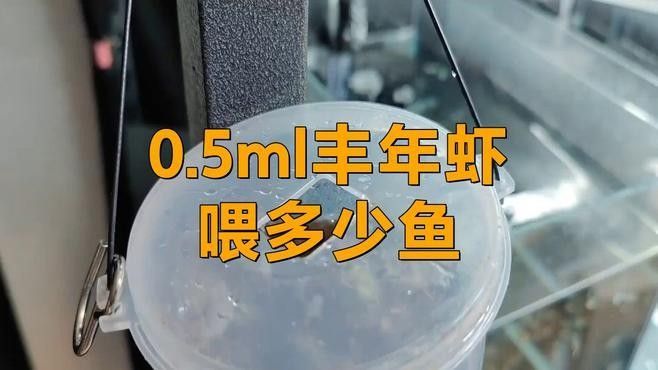 豐年蝦一次喂多少合適？（豐年蝦喂養技巧大揭秘,用量多少全看這里）