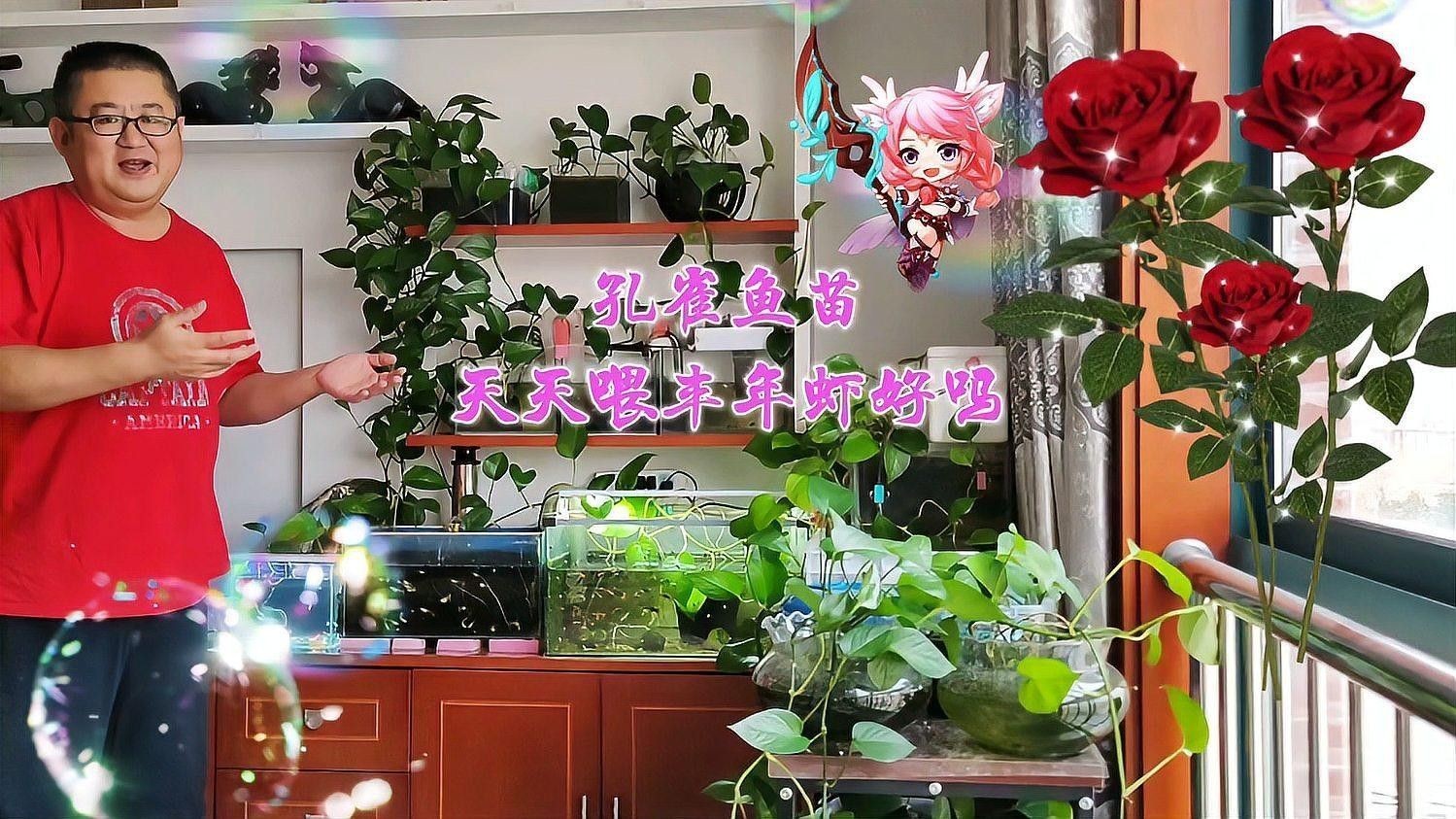 豐年蝦一次喂多少合適？（豐年蝦喂養技巧大揭秘,用量多少全看這里）