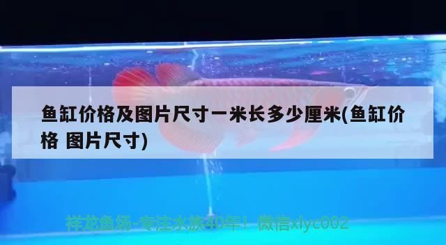 魚缸增氧泵壞了怎么修理視頻教程：魚缸增氧泵的工作原理（魚缸增氧泵壞了怎么修理）