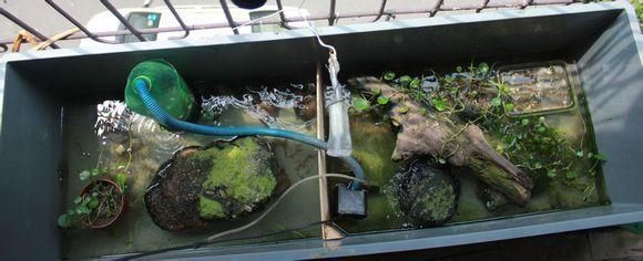 魚缸翻新效果圖大全圖片(魚缸裝修效果圖圖片)