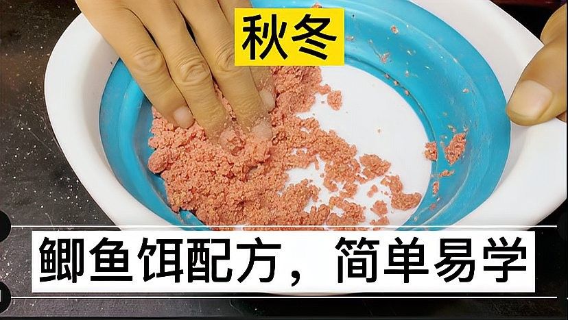 金龍魚餌有哪些經典配方（經典的金龍魚餌配方）