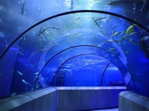 龍魚閣水族館的聯系方式是什么？（如何通過其他渠道找到龍魚閣的聯系方式？）