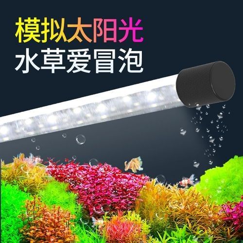 給我推薦幾款適合龍魚的燈（水族箱中的龍魚燈） 給我推薦幾款適合龍魚的燈（水族箱中的龍魚燈） 龍魚百科 第7張