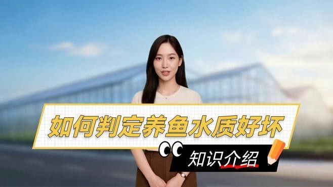 如何判斷親魚(yú)是否健康？（判斷親魚(yú)是否健康需要從多個(gè)方面進(jìn)行綜合評(píng)估評(píng)估）