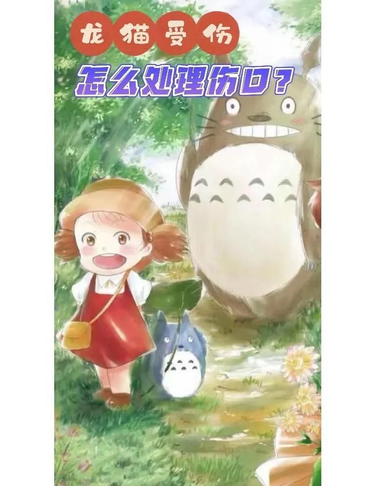 龍貓打架后多久會恢復？（貓打架后多久會恢復正常，龍貓打架后多久能恢復正常）
