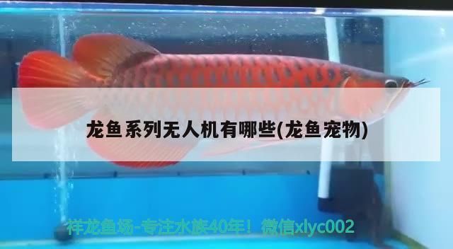 龍魚系列無人機有哪些(龍魚寵物)