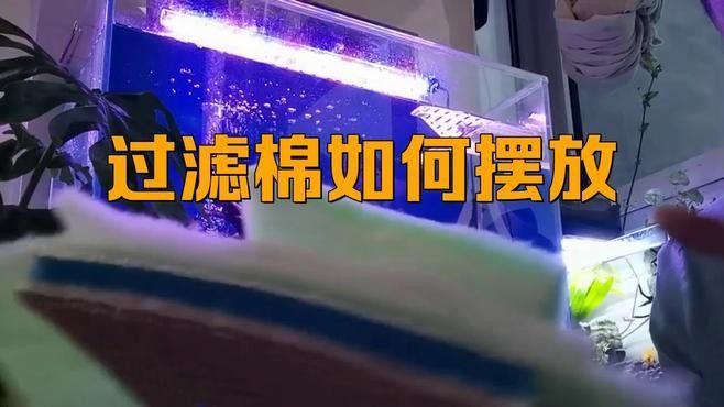 龍魚缸中濾材擺放順序