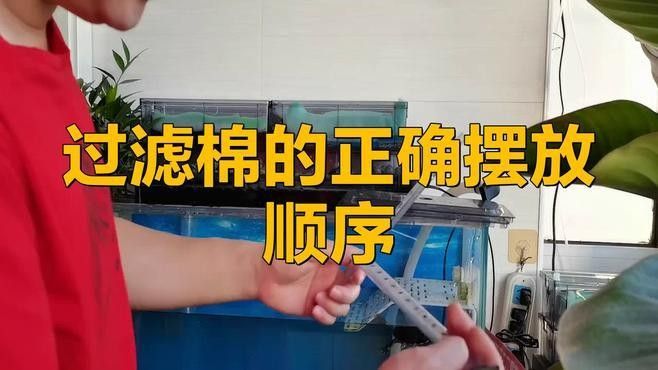 龍魚缸中濾材擺放順序