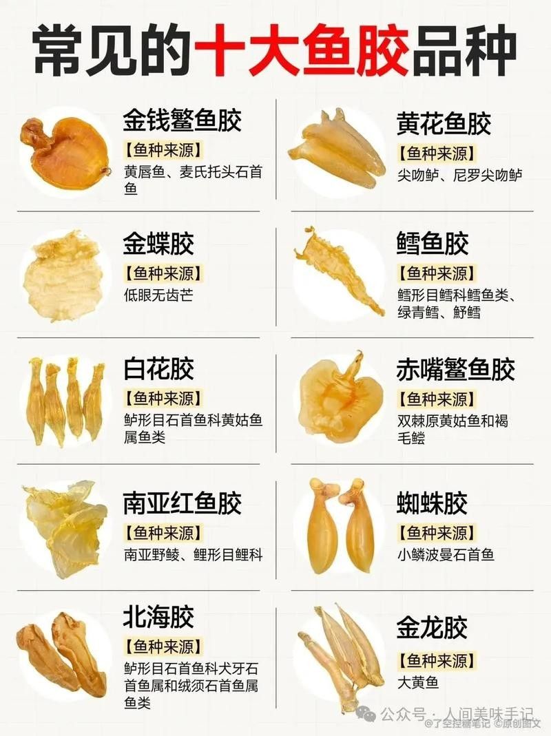 哪種魚膠更適合新手入門?(新手入門魚膠選擇指南) 龍魚百科 第9張 哪種魚膠更適合新手入門?(新手入門魚膠選擇指南) 哪種魚膠更適合新手入門?(新手入門魚膠選擇指南) 龍魚百科 第9張