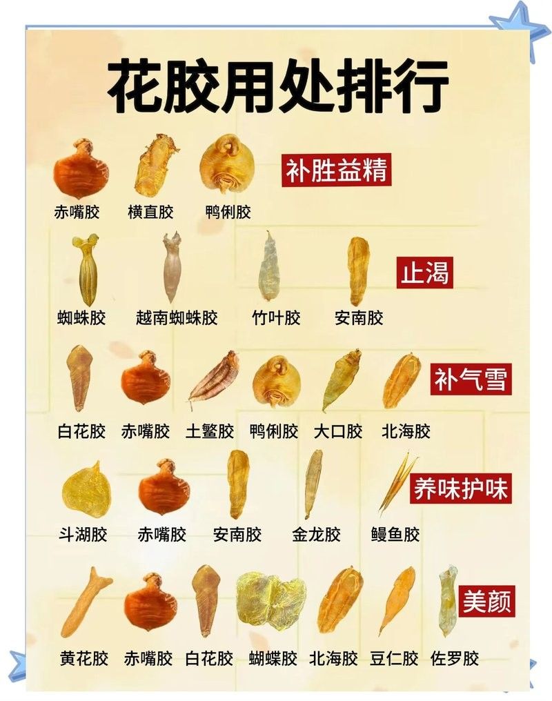哪種魚膠更適合新手入門？（新手入門魚膠選擇指南） 哪種魚膠更適合新手入門？（新手入門魚膠選擇指南） 龍魚百科 第13張
