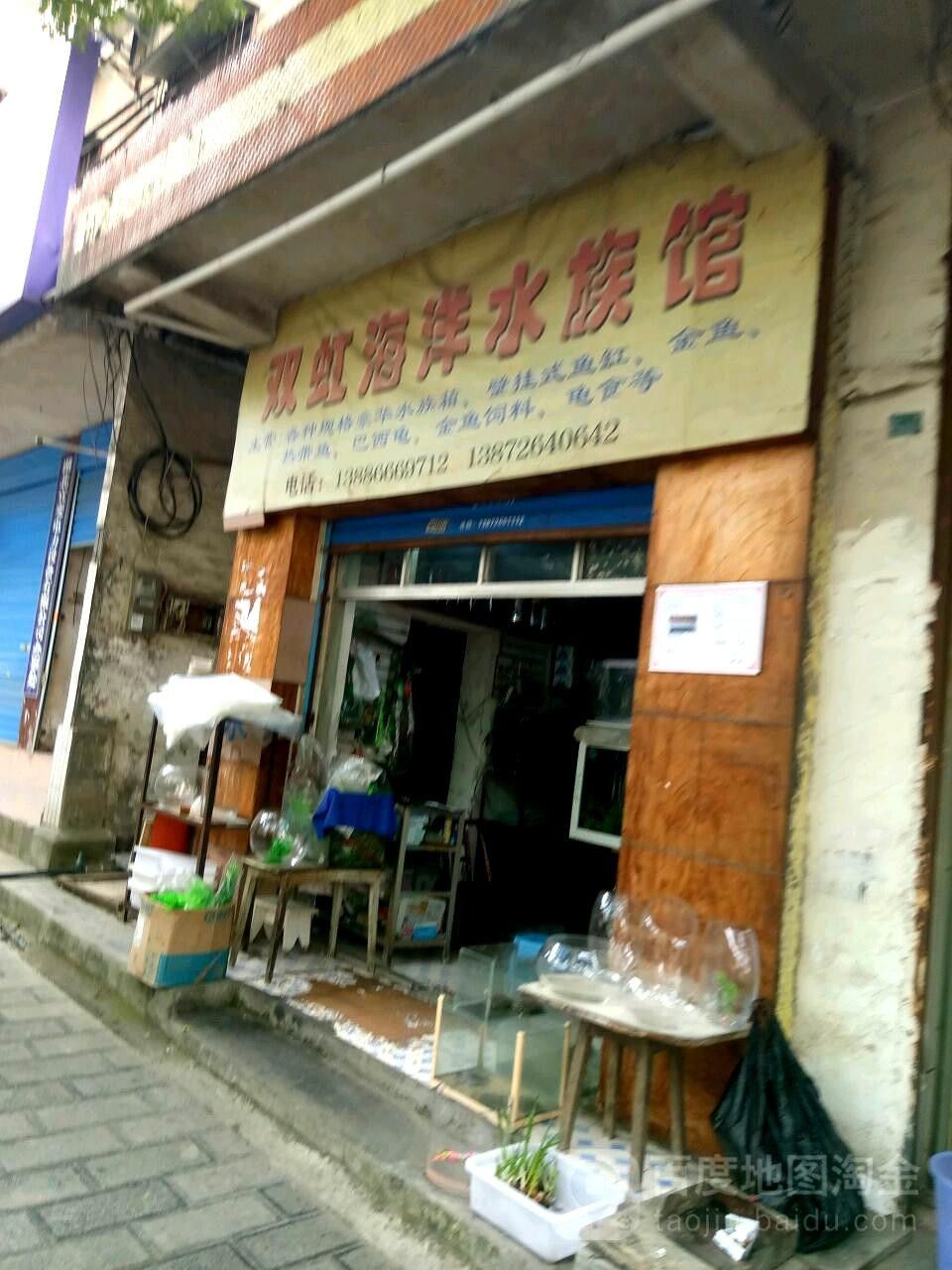 五峰哪個水族館龍魚好？祥龍魚場龍魚