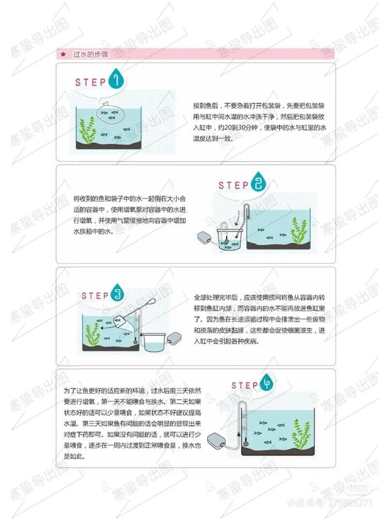 如何為雷龍魚設置最佳水位