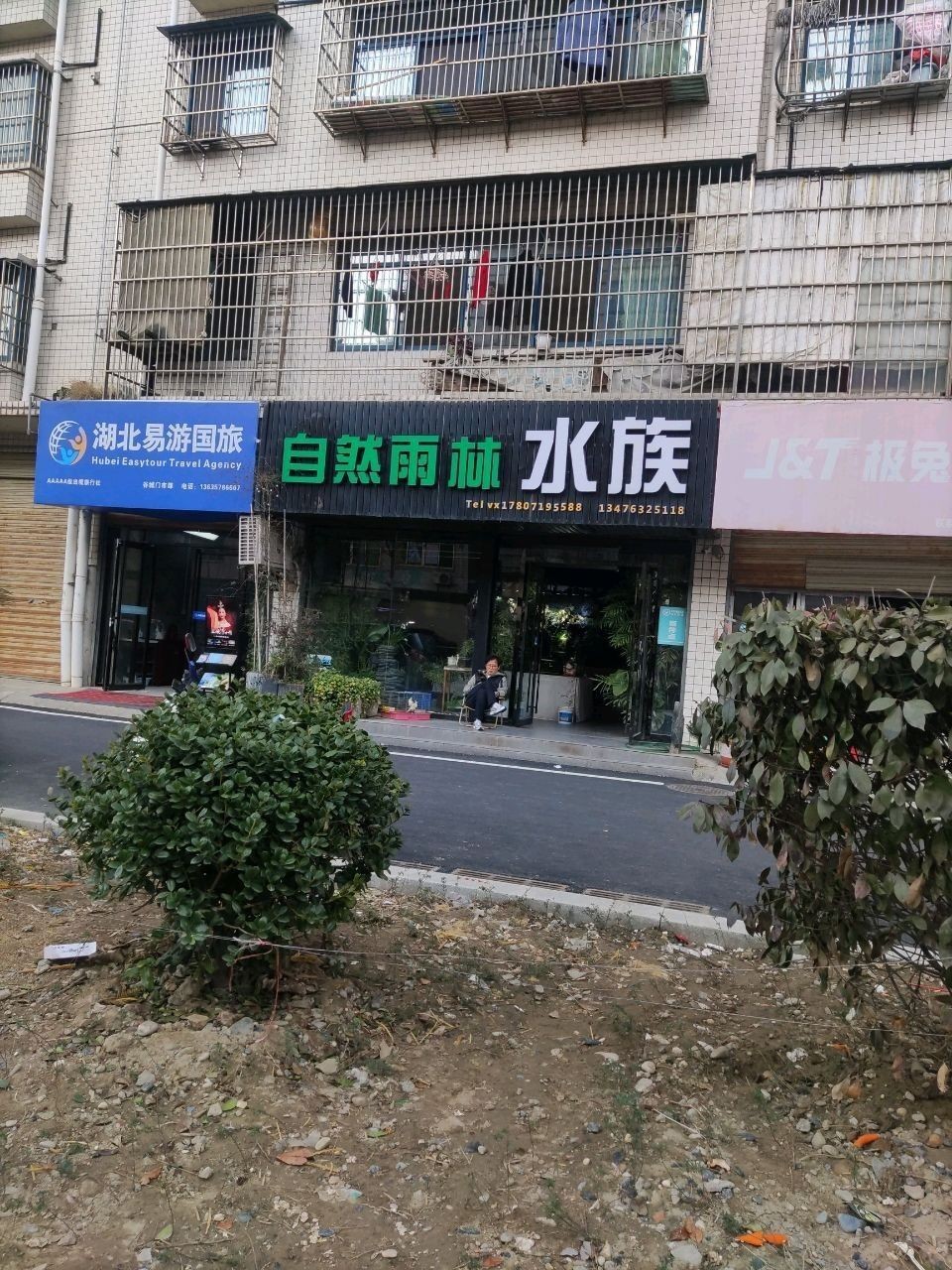 谷城哪個(gè)水族館龍魚好？祥龍魚場(chǎng)龍魚（自然雨林水族有龍魚賣嗎？） 谷城哪個(gè)水族館龍魚好？祥龍魚場(chǎng)龍魚（自然雨林水族有龍魚賣嗎？） 龍魚百科 第1張