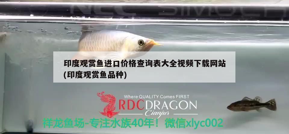 印度觀賞魚(yú)進(jìn)口價(jià)格查詢表大全視頻下載網(wǎng)站(印度觀賞魚(yú)品種)