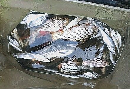 推薦一些釣七彩龍魚的好地點(diǎn)