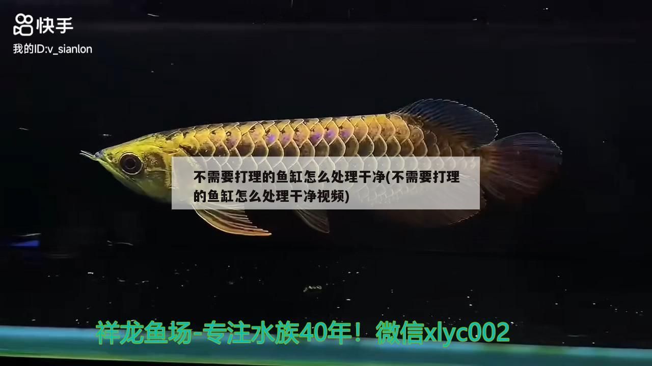 凈之美—養魚不換水+水重要（養魚不換水+水重要）