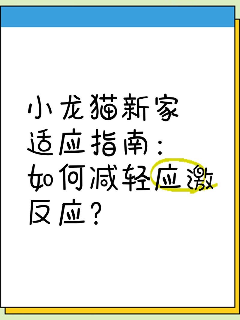 如何縮短龍貓的適應期（如何縮短龍貓適應期）