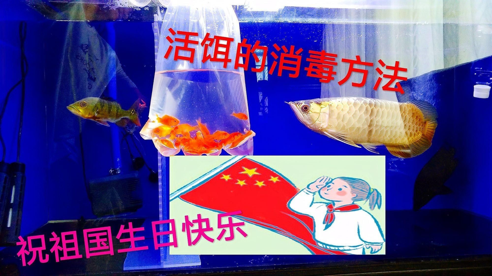 如何消毒處理活餌？（水產(chǎn)養(yǎng)殖中常用的消毒劑有哪些你都了解嗎）