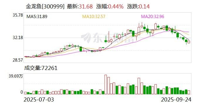 金龍魚歷史分紅記錄如何？