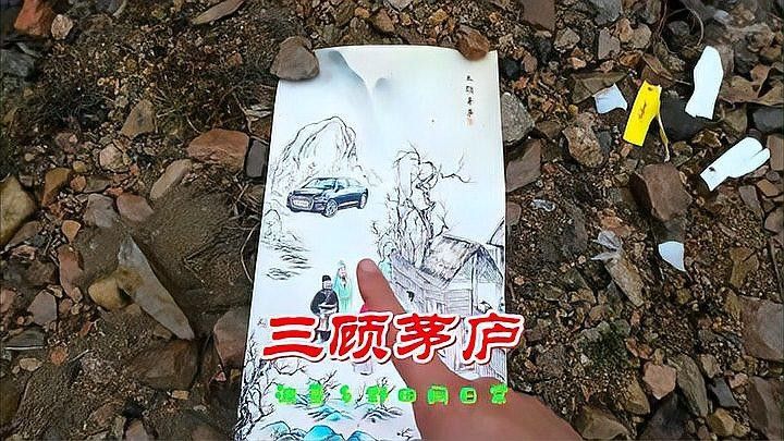 如何區(qū)分不同品種的龍王魚（不同品種的龍王魚可以從以下幾個(gè)方面著手）