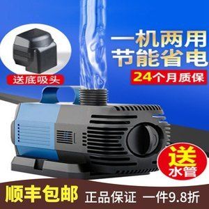 龍魚圖片壁紙可愛動漫（龍魚圖片壁紙可愛動漫高清）（高質(zhì)量的龍魚圖片和壁紙可以讓你感受到龍魚的獨(dú)特魅力）