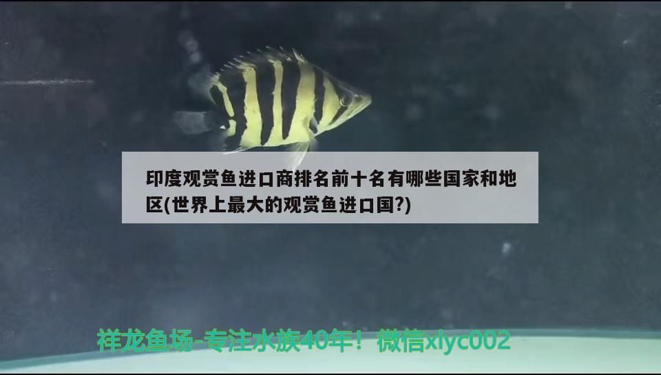 觀賞魚進(jìn)口流程表圖解法大全視頻教程圖片(如何進(jìn)口觀賞魚)