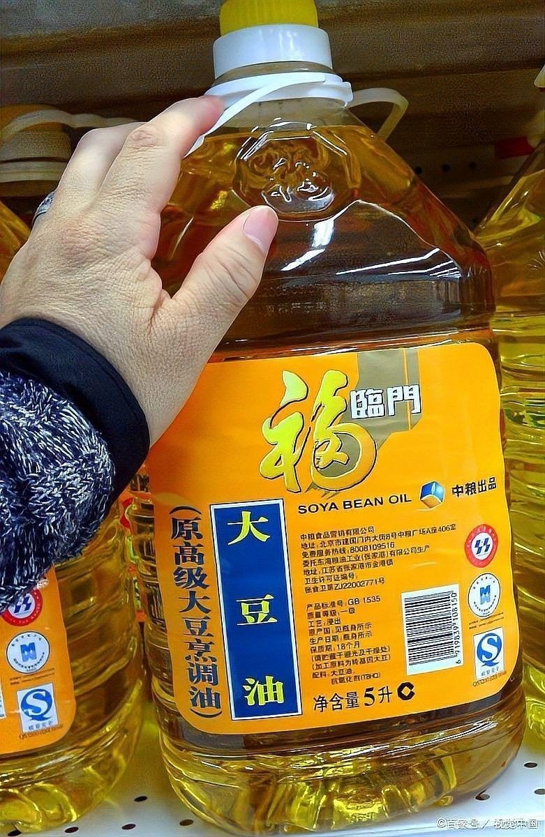 金龍魚和金龍油哪個(gè)更適合炒菜 金龍魚和金龍油哪個(gè)更適合炒菜 龍魚百科 第9張