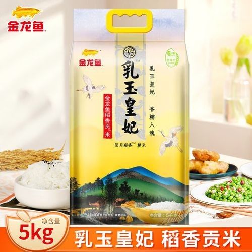 金龍魚的高端產品有哪些？ 金龍魚的高端產品有哪些？ 龍魚百科 第3張