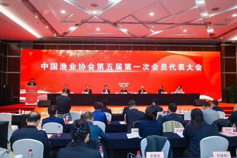 如何聯系中國龍魚協會？