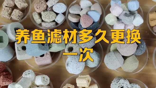 龍魚底濾濾材多久更換一次（養魚老道，魚缸過濾材料怎么選）
