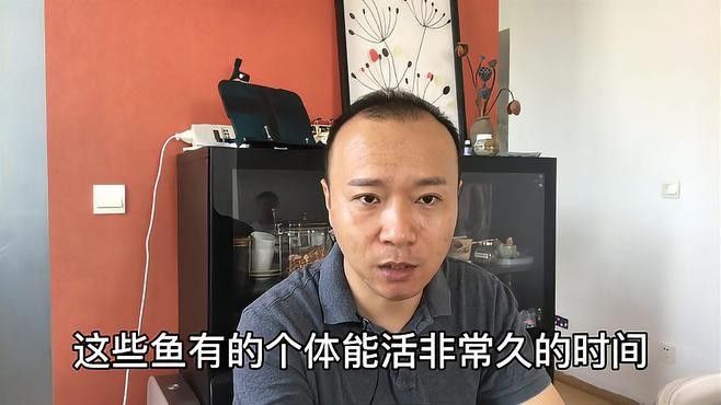 如何區(qū)分金龍魚的年齡？