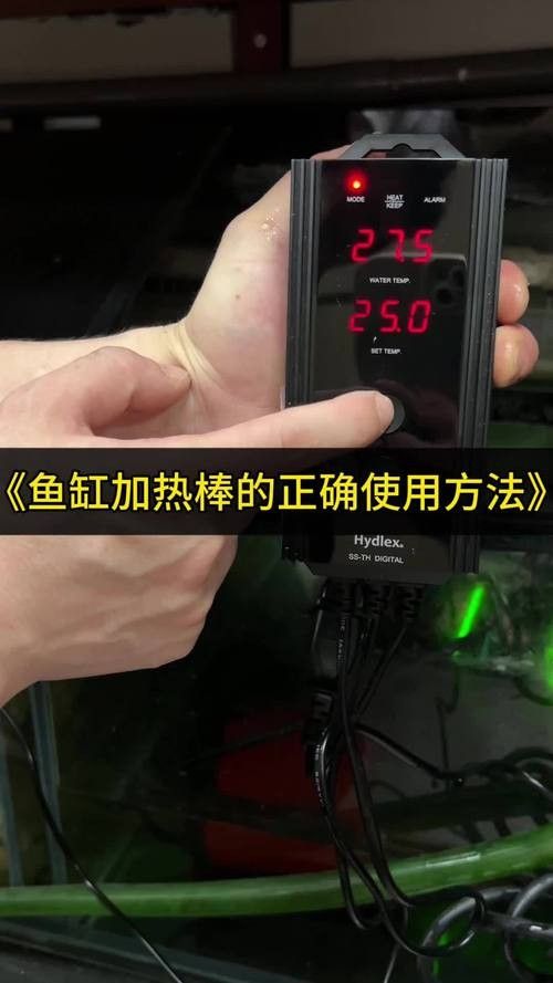 龍魚(yú)加熱棒哪個(gè)品牌最好