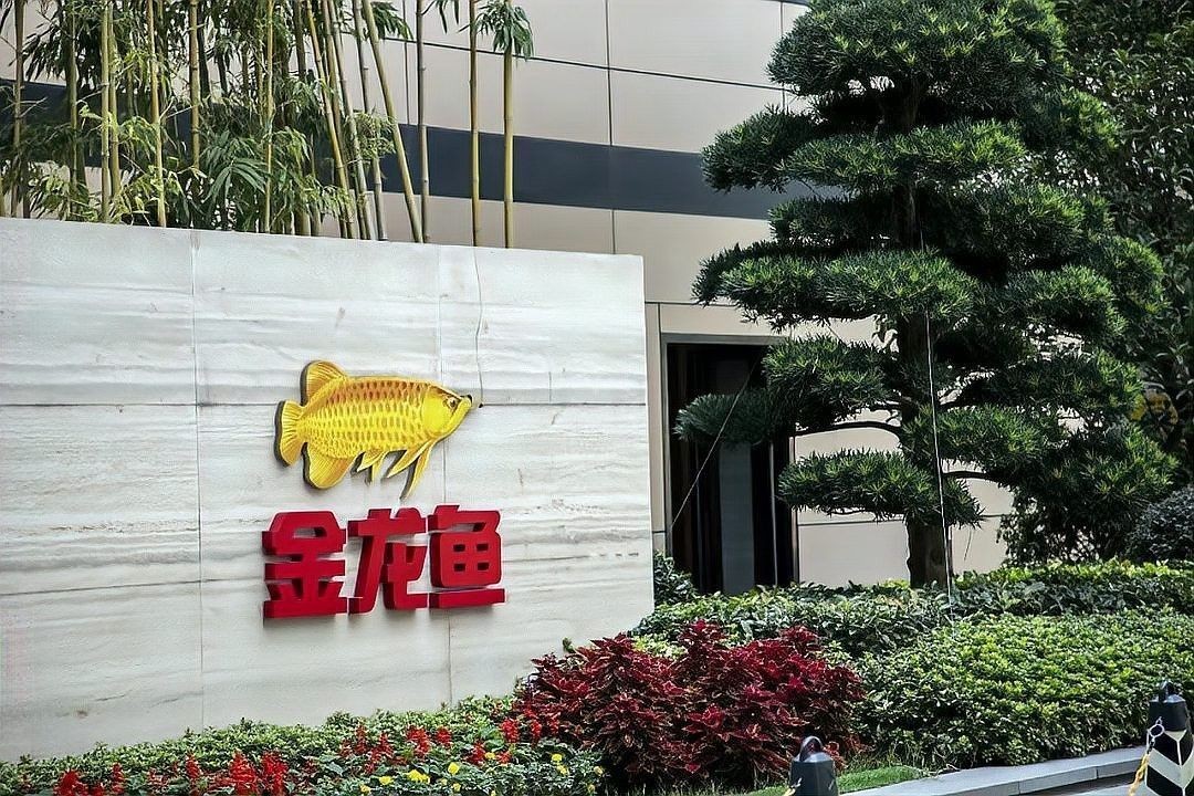 金龍魚如何應對網絡不實言論？（金龍魚如何應對網絡不實言論的挑戰？）