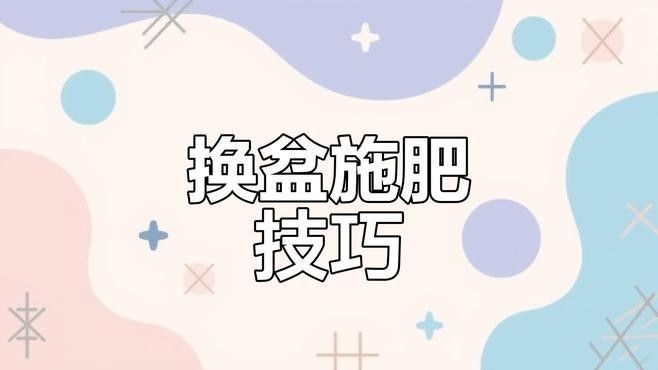 紅龍月季換盆后多久施肥？（古今世界月季換盆后多久可以施肥恢復(fù)期需注意這些細(xì)節(jié)）