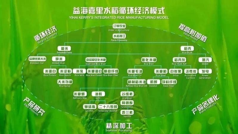 金龍魚的技術創新有哪些具體案例？ 金龍魚的技術創新有哪些具體案例？ 龍魚百科 第6張