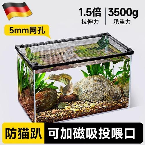 雷龍魚微信群一般如何加入？（如何加入雷龍魚微信群？）