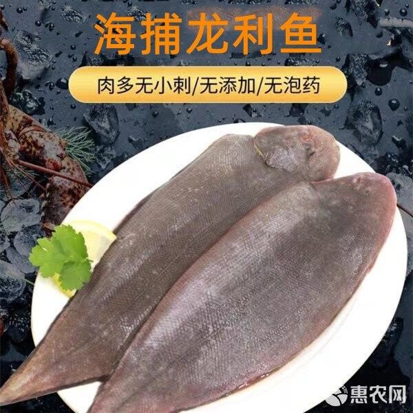 龍利魚的市場價格是多少 龍利魚的市場價格是多少 龍魚百科 第13張