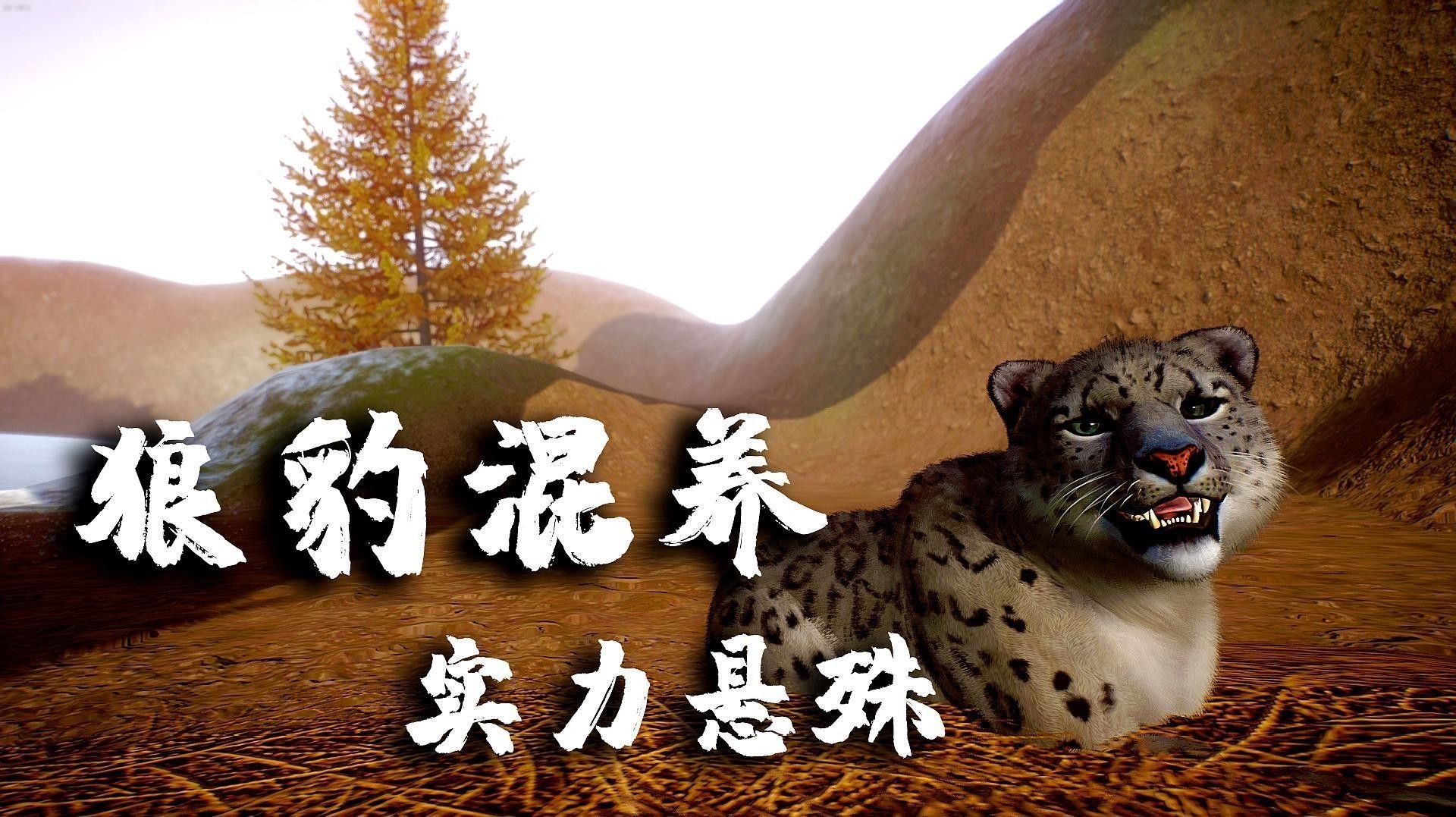 混養(yǎng)中常見的沖突有哪些（混養(yǎng)中可能出現(xiàn)的沖突） 混養(yǎng)中常見的沖突有哪些（混養(yǎng)中可能出現(xiàn)的沖突） 龍魚百科 第3張
