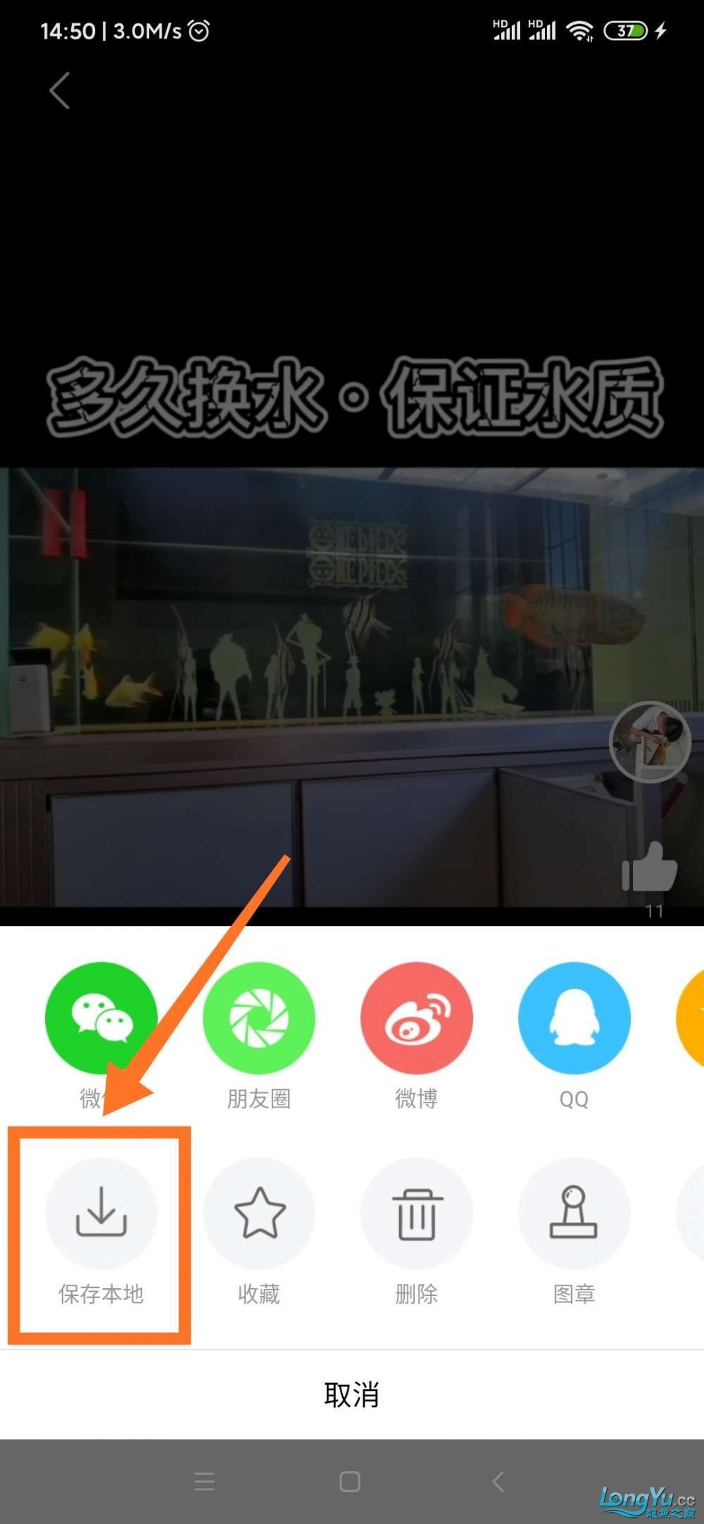 500版本上線了（龍巔5.0.0.0.0.0.0.0.0.0.0.0.0.0.0.0.0.0）