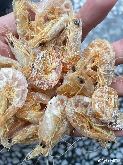 如何判斷蝦仁是否新鮮（判斷蝦仁是否新鮮是確保食用安全和美味的關鍵步驟）