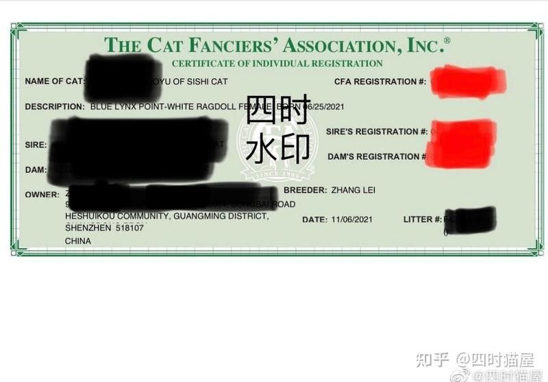 如何查詢紅龍魚血統證書真偽？（如何查詢紅龍魚血統證書真偽） 如何查詢紅龍魚血統證書真偽？（如何查詢紅龍魚血統證書真偽） 龍魚百科 第11張