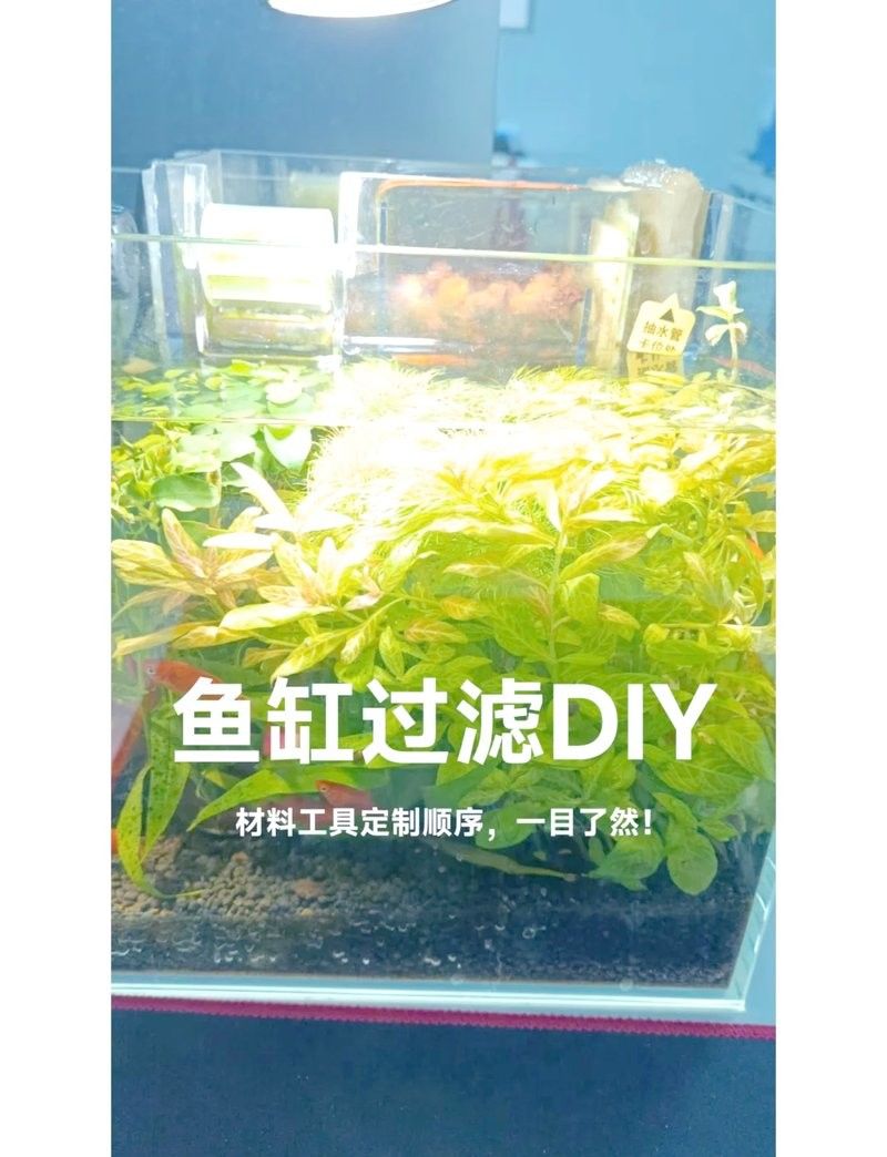 DIY底濾系統(tǒng)需要哪些材料？（diy底濾系統(tǒng)，你需要準(zhǔn)備以下材料）
