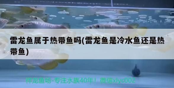 <strong><mark>西安</mark></strong>做魚缸的廠家在哪里有（<strong><mark>西安</mark></strong>批發(fā)魚缸在哪里）
