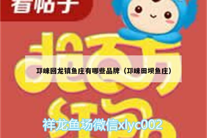邛崍回龍鎮魚莊有哪些品牌（邛崍田壩魚莊）（<strong><mark>成都</mark></strong>邛崍回龍鎮魚莊釣魚好去處邛崍田壩魚莊有哪些品牌）