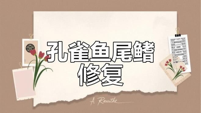 孔雀魚被攻擊后如何恢復？（關于孔雀魚在遭受攻擊后如何恢復的要點孔雀魚尾巴被咬了怎么辦）