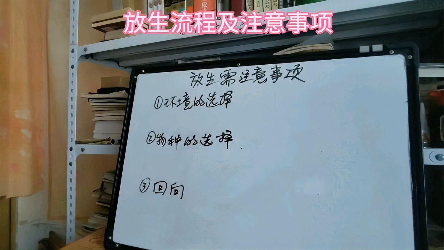 如何合法合規地進行放生（合法合規地進行放生） 如何合法合規地進行放生（合法合規地進行放生） 龍魚百科 第4張